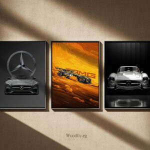 Mercedes-Benz Legends - Trio Wall Art Set